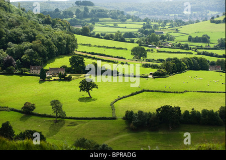 Blick über das Severn-Tal vom Coaley-Höhepunkt in den Cotswolds Stockfoto