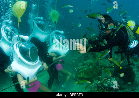 Junge Mädchen Meer Wandern mit Führer, umgeben von Fischen, Profil, Sapi Island, Sabah, Malaysia Stockfoto