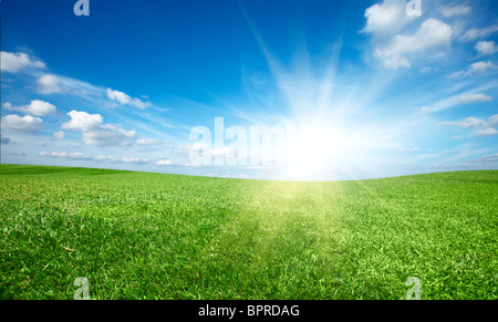 Sonnenuntergang, Sonne und Feld Grün frisches Gras unter blauem Himmel Stockfoto