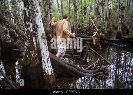 Ein Mann Wanderungen durch eine Zypresse-Sumpf im Everglades-Nationalpark, Florida. Stockfoto