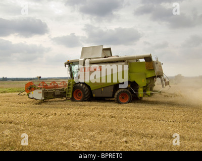 CLAAS Lexion 480 Mähdrescher beim Ernten von Weizen in einem Feld von Norfolk an einem hellen Tag im August Stockfoto