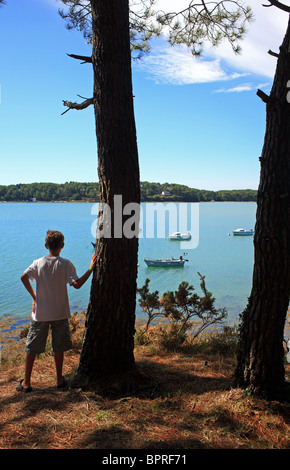 Junge am Baum gelehnt und betrachten der Anse de Baden, Baden, Golfe du Morbihan, Bretagne, Bretagne, Frankreich Stockfoto