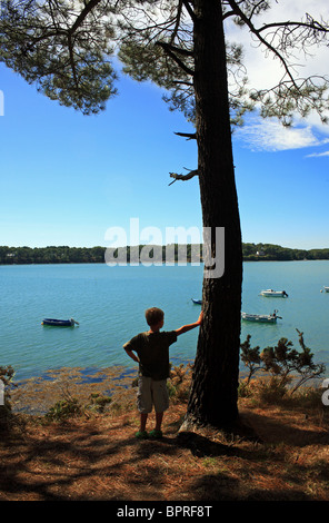 Junge am Baum gelehnt und betrachten der Anse de Baden, Baden, Golfe du Morbihan, Bretagne, Bretagne, Frankreich Stockfoto