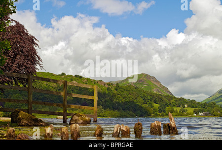 Blick über Grasmere in Richtung Helm Crag im Sommer Cumbria Lake District National Park England Vereinigtes Königreich Großbritannien GB Stockfoto