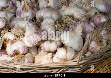 Knoblauch Zwiebeln im Weidenkorb Stockfoto