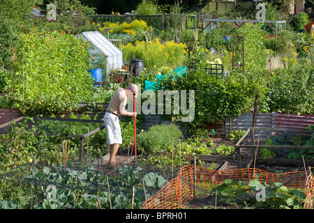 Reifen Gärtner in städtischen Schrebergarten Stockfoto