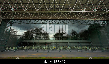 Das Café auf dem Sainsbury Centre, University of East Anglia in Norwich, Norfolk. Stockfoto