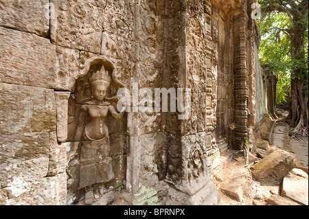 Gesagt, schnitzen, Ta Prohm, Angkor, Siem Reap, Kambodscha Stockfoto