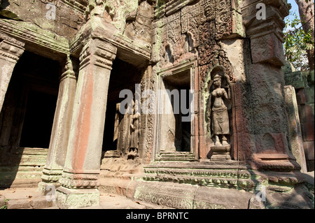 Gesagt, schnitzen, Ta Prohm, Angkor, Siem Reap, Kambodscha Stockfoto