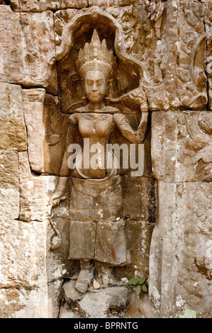 Gesagt, schnitzen, Ta Prohm, Angkor, Siem Reap, Kambodscha Stockfoto