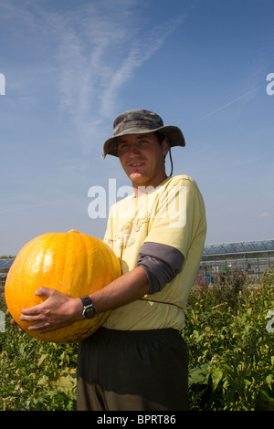 Portugiesische saisonale Wanderarbeiter, die Kürbisse pflücken; Bauernhöfe & Arbeiter, Landwirtschaft; Marktgärtner, die Getreide ernten, in Tarleton, Lancashire, Preston, Großbritannien Stockfoto