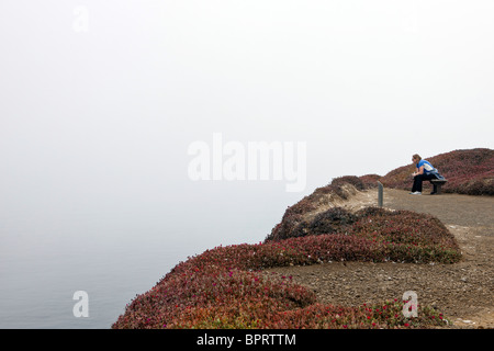 Eine Frau sitzt auf einer Bank mit Blick auf eine Klippe, Anacapa Island, Channel Islands Nationalpark, Kalifornien Stockfoto