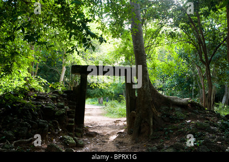 Sambor Prei Kuk Tempelruinen, Kompong Thom, Kambodscha Stockfoto