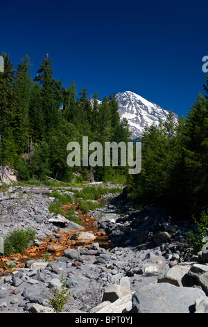 Kautz Creek mit Mount Rainier im Hintergrund, Mt. Rainier-Nationalpark, Washington, Vereinigte Staaten von Amerika Stockfoto