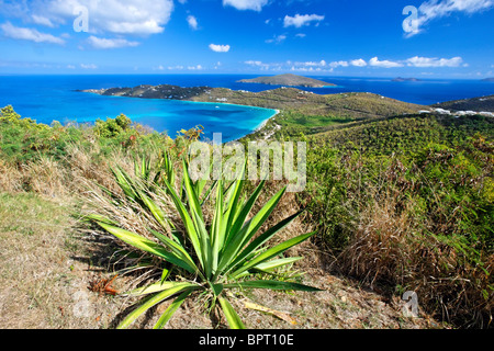 High Angle View of Magens Bay, St. Thomas, Amerikanische Jungferninseln Stockfoto