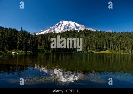 Reflexion des Mount Rainier in Reflection Lake, Mt. Rainier Nationalpark, Washington, Vereinigte Staaten von Amerika Stockfoto