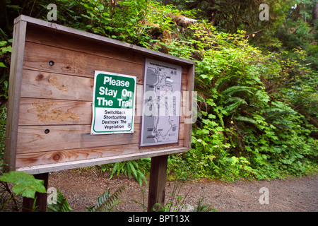 US Forest Service Bulletin Board mit Wanderkarten und Warnung auf Trail, Lake Quinault Regenwald zu bleiben Stockfoto