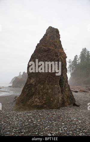 Meer-Stack auf Ruby Beach am Morgen mit Nebel Nebel, Olympic Nationalpark, Washington, Vereinigte Staaten von Amerika Stockfoto