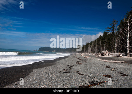 Felsen säumen Rialto Strand, Olympic Nationalpark, Washington, Vereinigte Staaten von Amerika Stockfoto