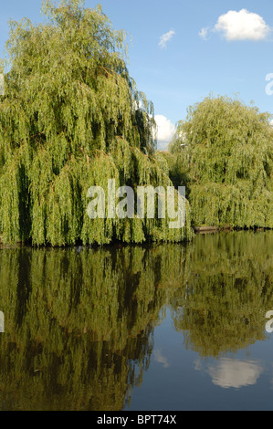 Manchester Castlefield Kanal-Becken an einem sonnigen Sommertag Stockfoto