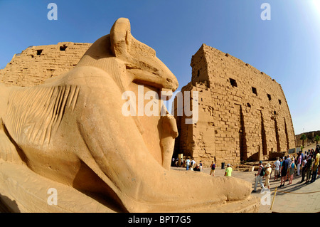 Karnak Tempel Ägyptens, Widderköpfige Sphinx, ein Symbol des Gottes Amun, Skulptur am Haupteingang, Karnak, Ägypten Stockfoto