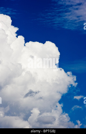 Geschwollene weißen Luž Wolken vor blauem Himmel Colorado Stockfoto
