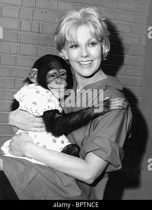 KIM NOVAK & SCHIMPANSE SCHAUSPIELERIN (1952) Stockfoto