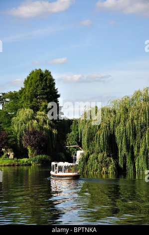 Bootfahren auf der Themse, Old Windsor, Berkshire, England, Vereinigtes Königreich Stockfoto