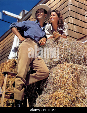 ROBERT TAYLOR & BARBARA STANWYCK SCHAUSPIELER & SCHAUSPIELERIN (1940) Stockfoto