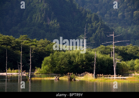 Taisho Teich, Kamikochi, Chubu-Sangaku Nationalpark, Nagano, Japan Stockfoto