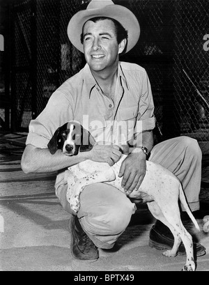 ROBERT TAYLOR MIT HUND SCHAUSPIELER (1943) Stockfoto