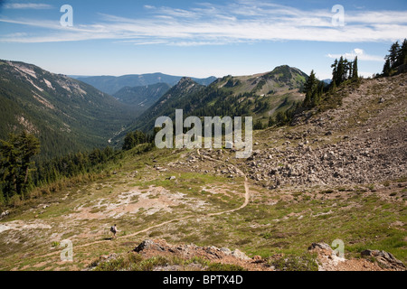 Pacific Crest Trail, Blick nach Süden vom Cispus Pass - Goat Rocks Wilderness, Gifford Pinchot National Forest - Washington Stockfoto