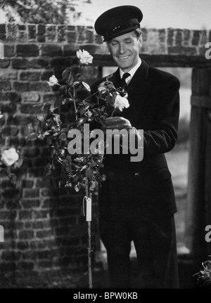 GRIFFITH JONES SCHAUSPIELER (1947) Stockfoto