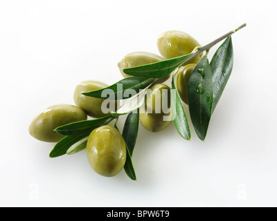 Frische grüne Oliven der Königin auf eine Olive Zweig Fotos, Bilder & Bilder. Vor weißem Hintergrund ausschneiden Stockfoto