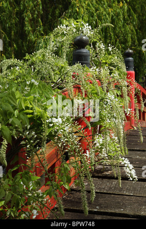 Rote japanische Brücke, Haus und Heale Gardens, Wiltshire Stockfoto