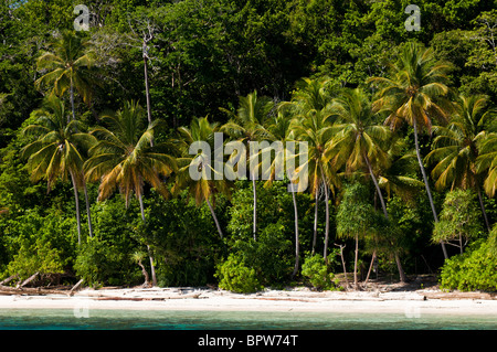 Unberührten Strand auf einer abgelegenen Insel, Rurbas, West-Papua, Indonesien. Stockfoto
