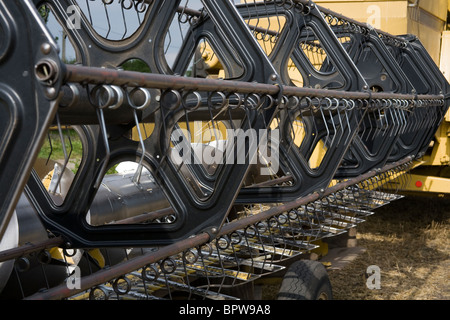 Markt, Garten, Bauernhöfe und landwirtschaftliche Geräte, Tarleton, Lancashire, uk Stockfoto