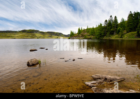 Te schönen abgelegenen Loch Ordie, in der Nähe von Dunkeld, Schottland aufgenommen Anfang Sommer Stockfoto