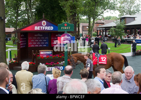 Das Fahrerlager und die Parade Ring bei Betfred Sprint-Cup-Rennen treffen, Haydock Park Samstag, 4. September 2010 Stockfoto