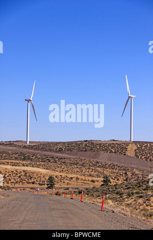 Elektrische Erzeugung von Windmühlen auf einem Hügel in der Nähe von Ellensburg Washington mit blauem Himmel Stockfoto