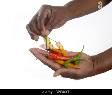 Einer afrikanische Hände halten rote, gelbe, orange und grüne Chilischoten. Stockfoto