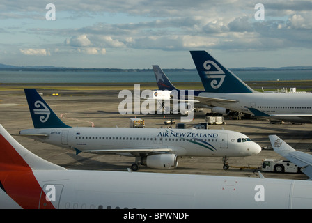 Flugzeuge auf Tore am Flughafen Auckland, Nordinsel, Neuseeland Stockfoto