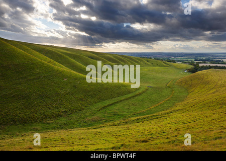 Die welligen Hügel Uffington bekannt als die riesige Treppe Stockfoto