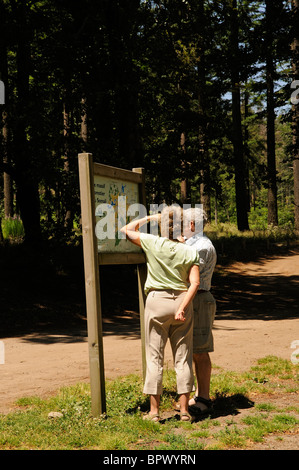 Lesen einer Karte in einem Pinienwald gelegen auf einem Hochplateau in den Bergen Touristen de l' Epinouse südlichen Frankreich Wald du Somail Stockfoto