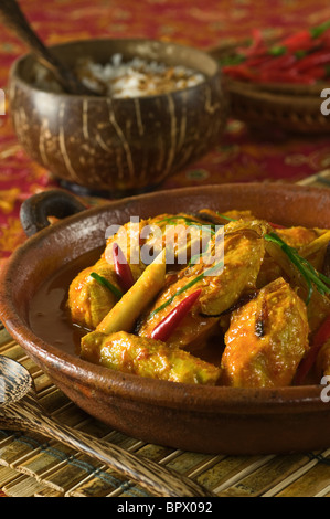 Chicken Curry Kapitan Malaysia Singapur Essen Stockfoto