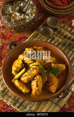 Chicken Curry Kapitan Malaysia Singapur Essen Stockfoto