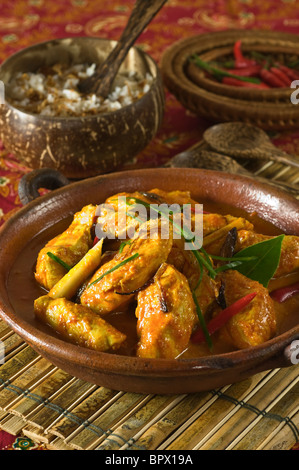 Chicken Curry Kapitan Malaysia Singapur Essen Stockfoto