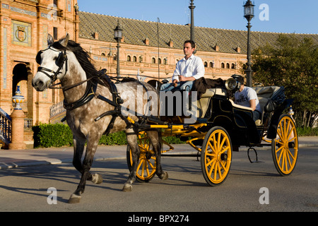 Traber ziehen Schlitten und Touristen um die Vorderseite des Sevilla ist der Plaza de España de Sevilla. Sevilla, Spanien. Stockfoto