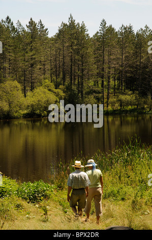 Paare, die auf den Gewässern Rand See und Kiefer Wald befindet sich auf einem Plateau in den Bergen de l' Epinouse südlichen Frankreich für Stockfoto