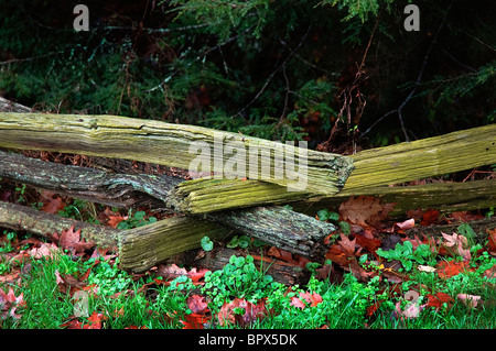 alte hölzerne Zaun Kabel Mühle Altstadt in Cades Cove Bereich der Great-Smoky-Mountains-Nationalpark Tennessee Stockfoto